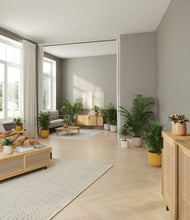 Load image into Gallery viewer, Evening Sky
