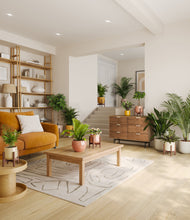 Load image into Gallery viewer, Evening Sky stand:eight_stands
