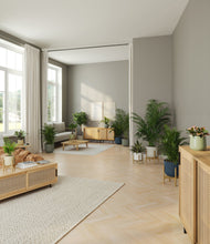 Load image into Gallery viewer, Earthy stand:five_stands
