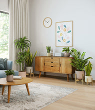 Load image into Gallery viewer, Sandy stand:three_stands
