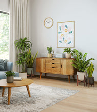 Load image into Gallery viewer, Woodland stand:three_stands
