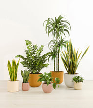 Load image into Gallery viewer, Evening Sky
