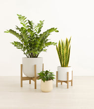 Load image into Gallery viewer, The Radiant Trinity
