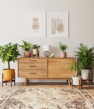 Load image into Gallery viewer, Evening Sky stand:four_stands
