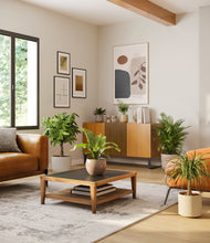 Load image into Gallery viewer, Sandy stand:two_stands
