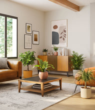 Load image into Gallery viewer, Evening Sky
