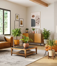 Load image into Gallery viewer, Evening Sky stand:four_stands
