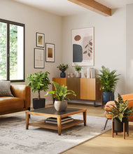 Load image into Gallery viewer, Charcoal stand:two_stands
