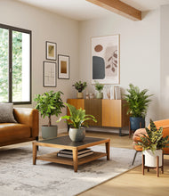 Load image into Gallery viewer, Earthy stand:two_stands
