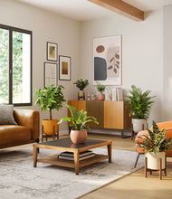 Load image into Gallery viewer, Evening Sky stand:four_stands
