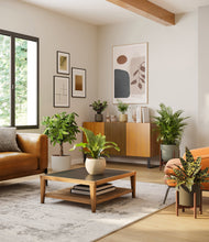 Load image into Gallery viewer, Woodland stand:two_stands
