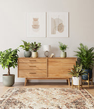 Load image into Gallery viewer, Earthy stand:two_stands
