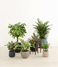 Load image into Gallery viewer, Charcoal stand:two_stands
