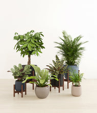 Load image into Gallery viewer, Charcoal stand:four_stands
