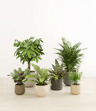 Load image into Gallery viewer, Woodland*****Profile
