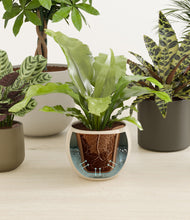 Load image into Gallery viewer, Woodland stand:all
