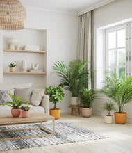 Load image into Gallery viewer, Evening Sky
