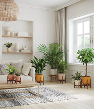 Load image into Gallery viewer, Evening Sky stand:six_stands
