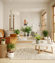 Load image into Gallery viewer, Earthy
