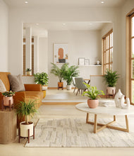 Load image into Gallery viewer, Evening Sky stand:four_stands
