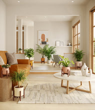 Load image into Gallery viewer, Evening Sky stand:six_stands
