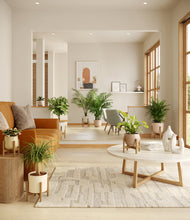 Load image into Gallery viewer, Sandy stand:six_stands
