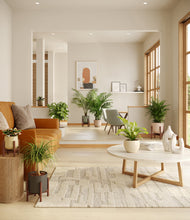 Load image into Gallery viewer, Woodland stand:four_stands
