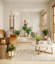 Load image into Gallery viewer, Sandy stand:four_stands
