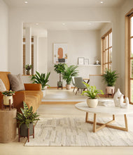 Load image into Gallery viewer, Woodland stand:four_stands
