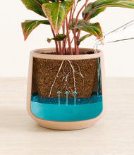 Load image into Gallery viewer, Gentle Pink
