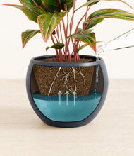 Load image into Gallery viewer, Deep Navy
