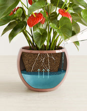 Load image into Gallery viewer, Calm Rose
