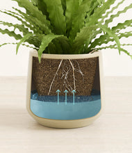 Load image into Gallery viewer, Almond Green
