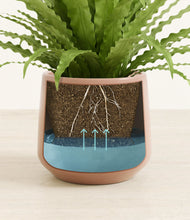 Load image into Gallery viewer, Calm Rose
