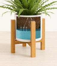 Load image into Gallery viewer, White stand:light
