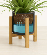 Load image into Gallery viewer, Black stand:light
