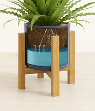 Load image into Gallery viewer, Deep Navy stand:light
