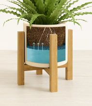 Load image into Gallery viewer, Cream stand:light
