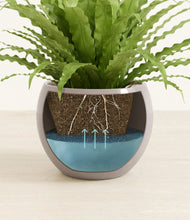 Load image into Gallery viewer, Winter Clouds
