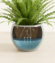 Load image into Gallery viewer, Deep Ocean
