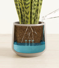 Load image into Gallery viewer, Eternal Gray
