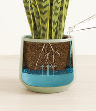 Load image into Gallery viewer, Turquoise
