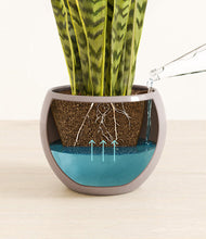 Load image into Gallery viewer, Winter Clouds
