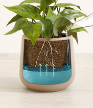 Load image into Gallery viewer, Eternal Gray
