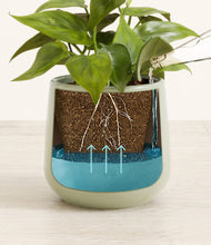 Load image into Gallery viewer, Turquoise
