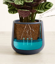 Load image into Gallery viewer, Deep Navy
