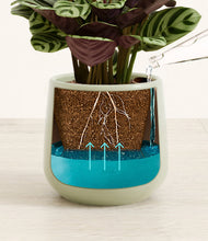 Load image into Gallery viewer, Turquoise
