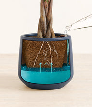 Load image into Gallery viewer, Deep Navy
