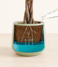 Load image into Gallery viewer, Turquoise
