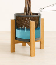 Load image into Gallery viewer, Dark Olive stand:light
